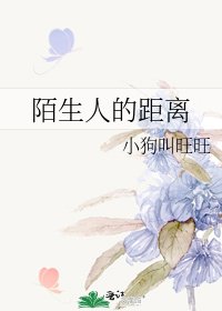 陌生人的距离