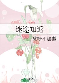 《迷途知返》