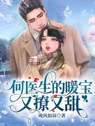 《何医生的暖宝又撩又甜》