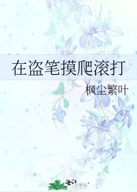 《在盗笔摸爬滚打》