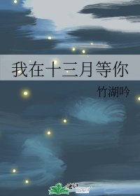 《我在十三月等你》