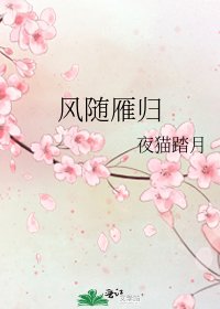 风随雁归