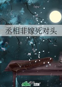 《丞相非嫁死对头》
