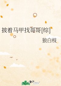 披着马甲找哥哥[综]
