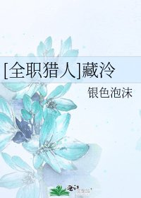 [全职猎人]藏泠