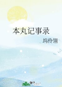 《本丸记事录》