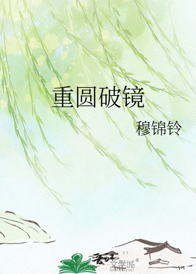重圆破镜