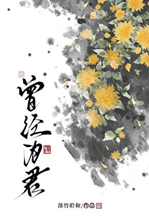 《曾经为君》