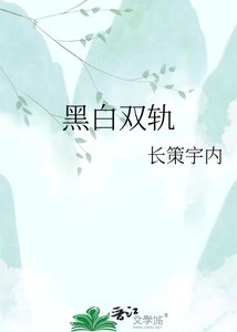 黑白双轨