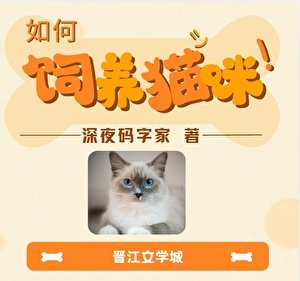 《如何饲养一只小猫?》