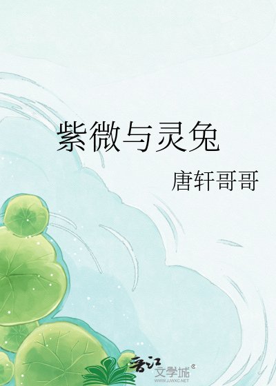 《紫微与灵兔》