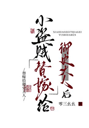 《小盗贼替嫁御史大人后》