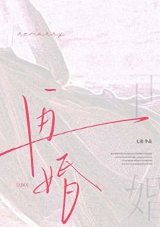 再婚abo