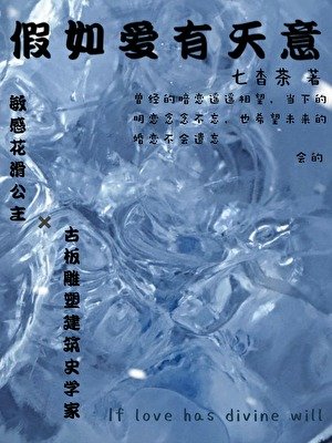 《假如爱有天意》