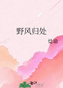 《野风归处》