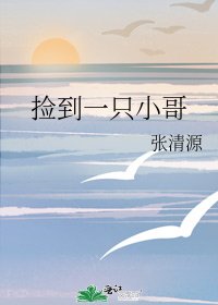 《捡到一只小哥》