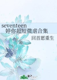 《seventeen 婷你超短微虐合集》