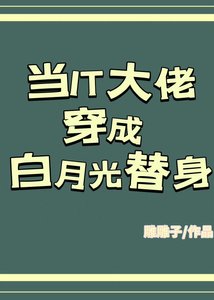 《当IT大佬穿成白月光替身》