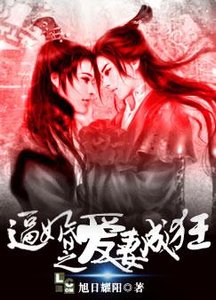 《逼婚之爱妻成狂》