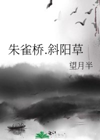 朱雀桥.斜阳草