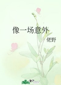 《潮起/像一场意外》