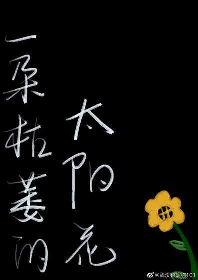 一朵枯萎的太阳花