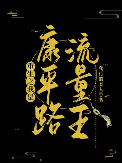 《重生之我是康平路流量王》