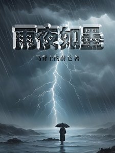 《雨夜如墨》
