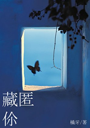 《藏匿你》