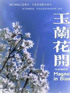 玉兰花开