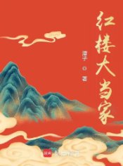 《(红楼梦同人)红楼大当家》