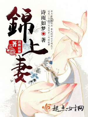 《锦上妻》