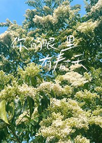 《你的眼里有春天》