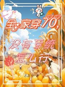 《全家穿70,没有系统怎么行》