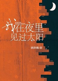 《我在夜里见过太阳》