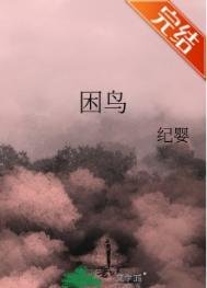 困鸟