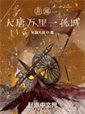 《开局:大唐万里一孤城》