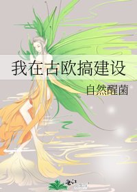 《我在古欧搞建设》