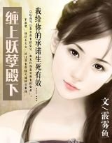 缠上妖孽殿下/宫乱