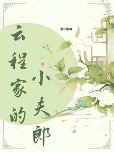 云程家的小夫郎