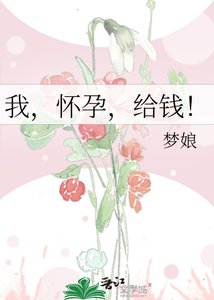 我,怀孕,给钱!