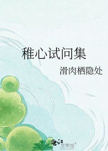 《稚心试问集》