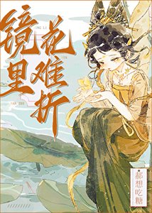 《镜里花难折》