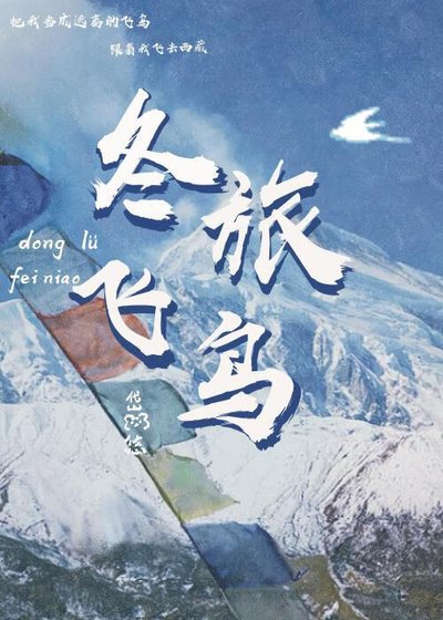 《冬旅飞鸟》