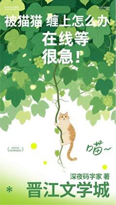 《被猫猫缠上怎么办!在线等很急!》