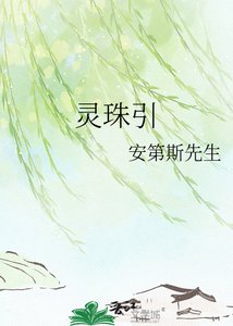 《灵珠引》