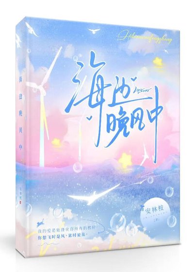 海边晚风中