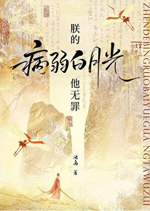 《朕的病弱白月光他无罪》
