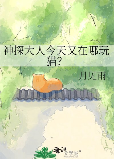 《神探大人今天又在哪玩猫?》
