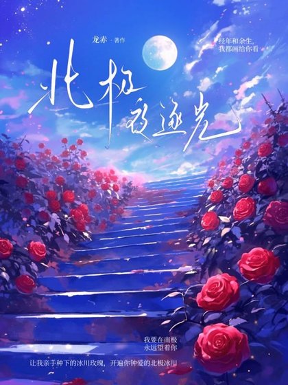 《北极夜逐光》